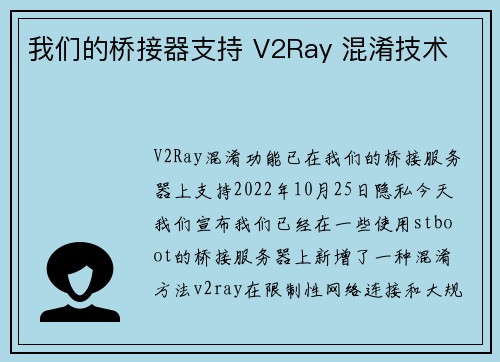 我们的桥接器支持 V2Ray 混淆技术 